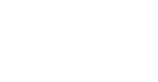 BESPOKE  TUTORING